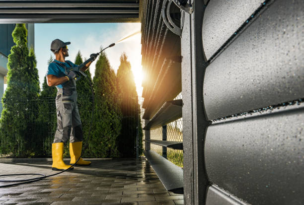 Best Sidewalk and Walkway Cleaning  in La Plata, MD